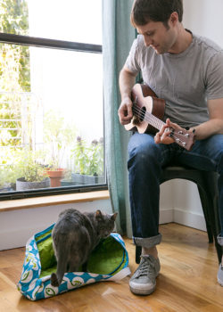 quilted ukulel bag, cat bed