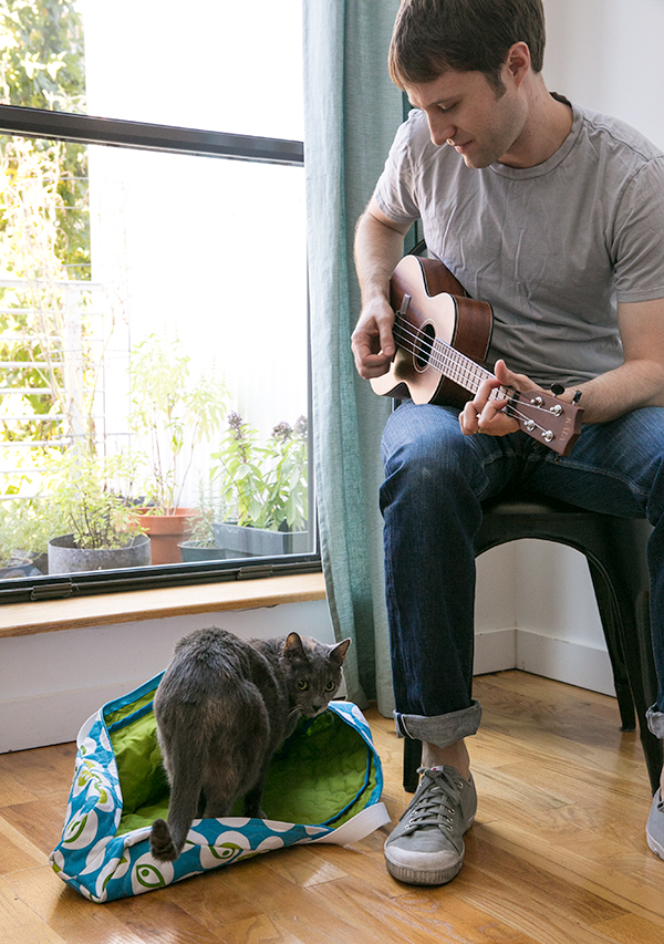 quilted ukulel bag, cat bed